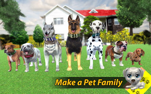 refugio de animales para perros