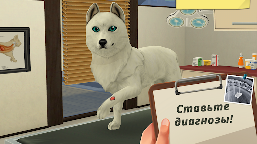 Pet World - Cuidado de animales